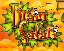 Brain Safari